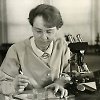 Barbara McClintock Barbara McClintock