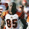 Chad Ocho Cinco