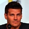 David Boreanaz David Boreanaz
