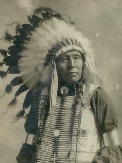 Flying Hawk