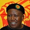 Julius Malema