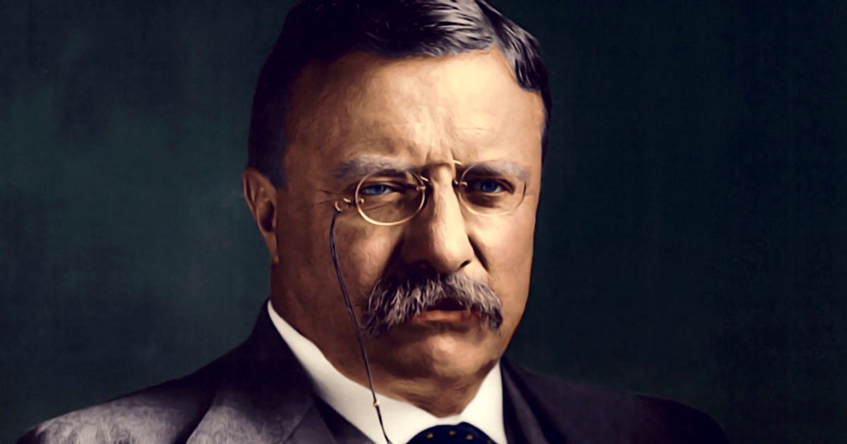 Theodore Roosevelt Quotes about Law - Lib Quotes
